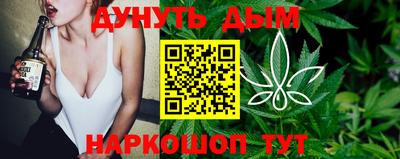 крисы Будённовск