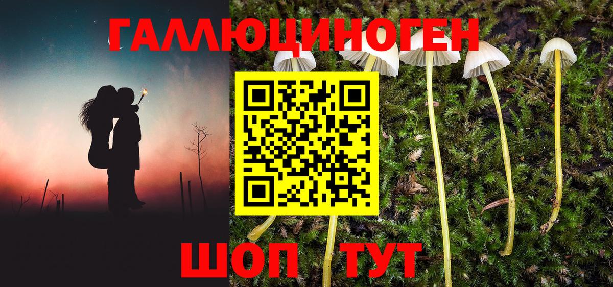 Галлюциногенные грибы Magic Shrooms  Вход с VPN  Канск 